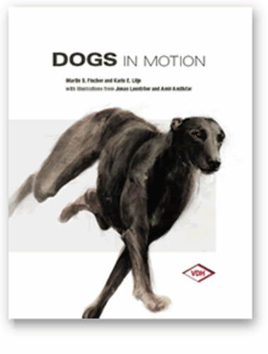 dogs_in_motion.png&width=400&height=500